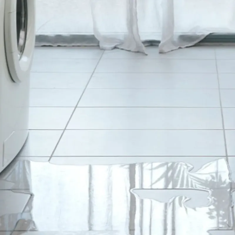 Appliance Leak Cleanup in Dinwiddie County, VA