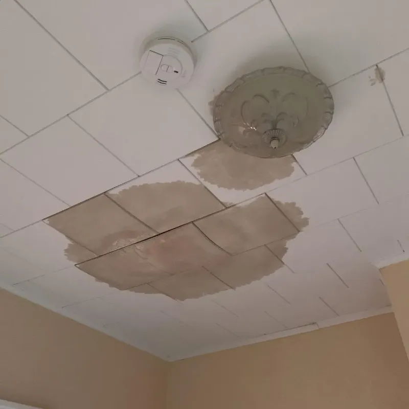 Ceiling Water Damage Repair in Dinwiddie County, VA