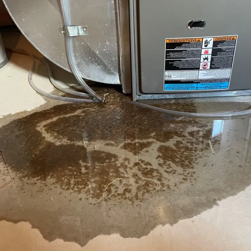 Pipe Burst and Leak Restoration in Dinwiddie County, VA