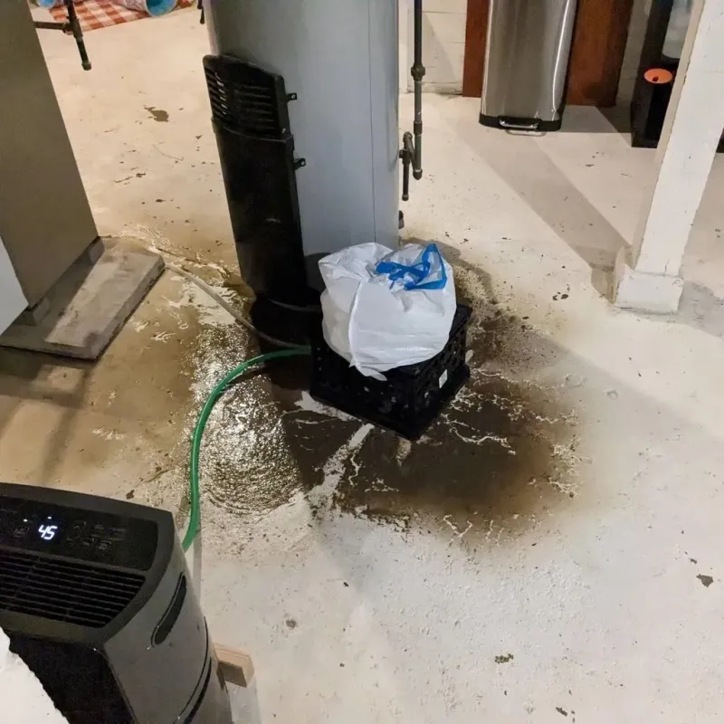 Sewage Backup Cleanup Service in Dinwiddie County, VA